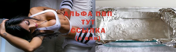 индика Снежинск