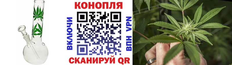 Марихуана индика  Кинель 